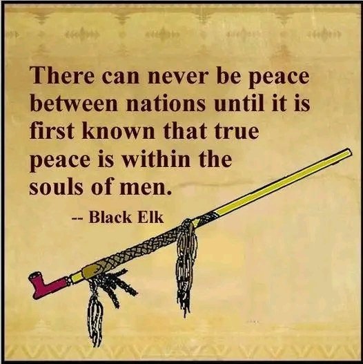 Indigenous Lands tweet media