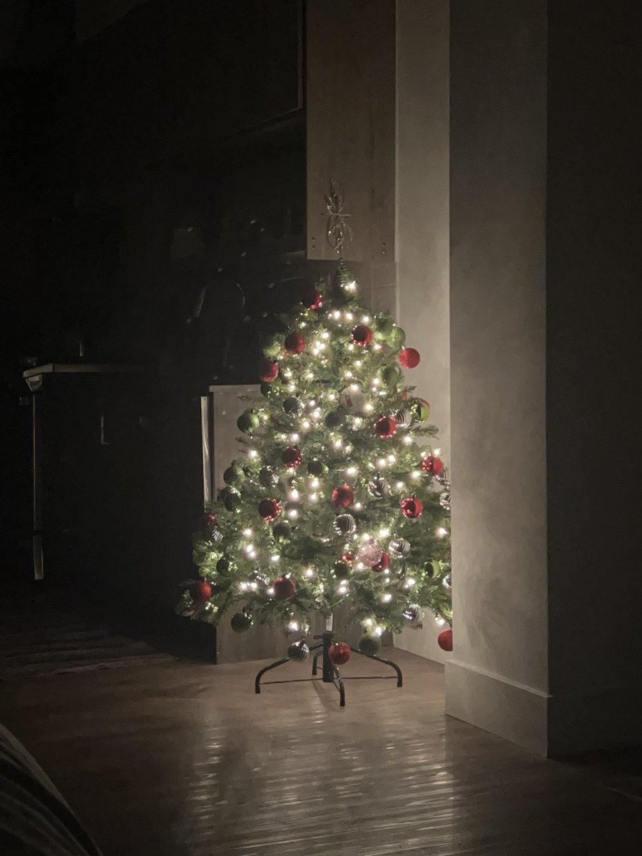 orangebenefits's tweet photo. Same tree different year https://t.co/Ff4y0CD0IG