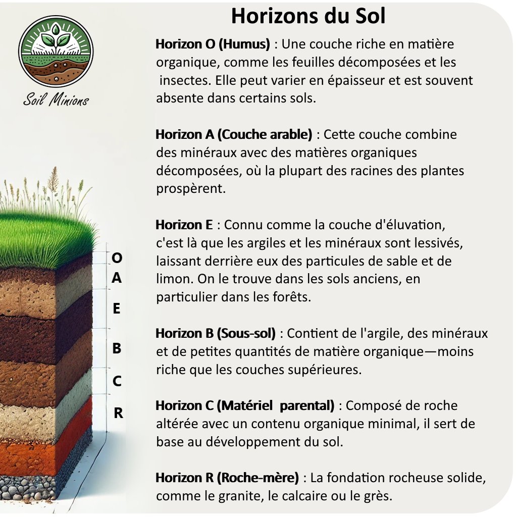 SoilMinions's tweet photo. 🌱 The different layers that make up the soil are called ‘Horizons’. Humus is one of the first upper layers of the soil we walk on; it is rich in organic matter and teeming with life. Dead soil no longer contains humus.
#SoilMinions #SolVivant https://t.co/PIlGVPRrUa