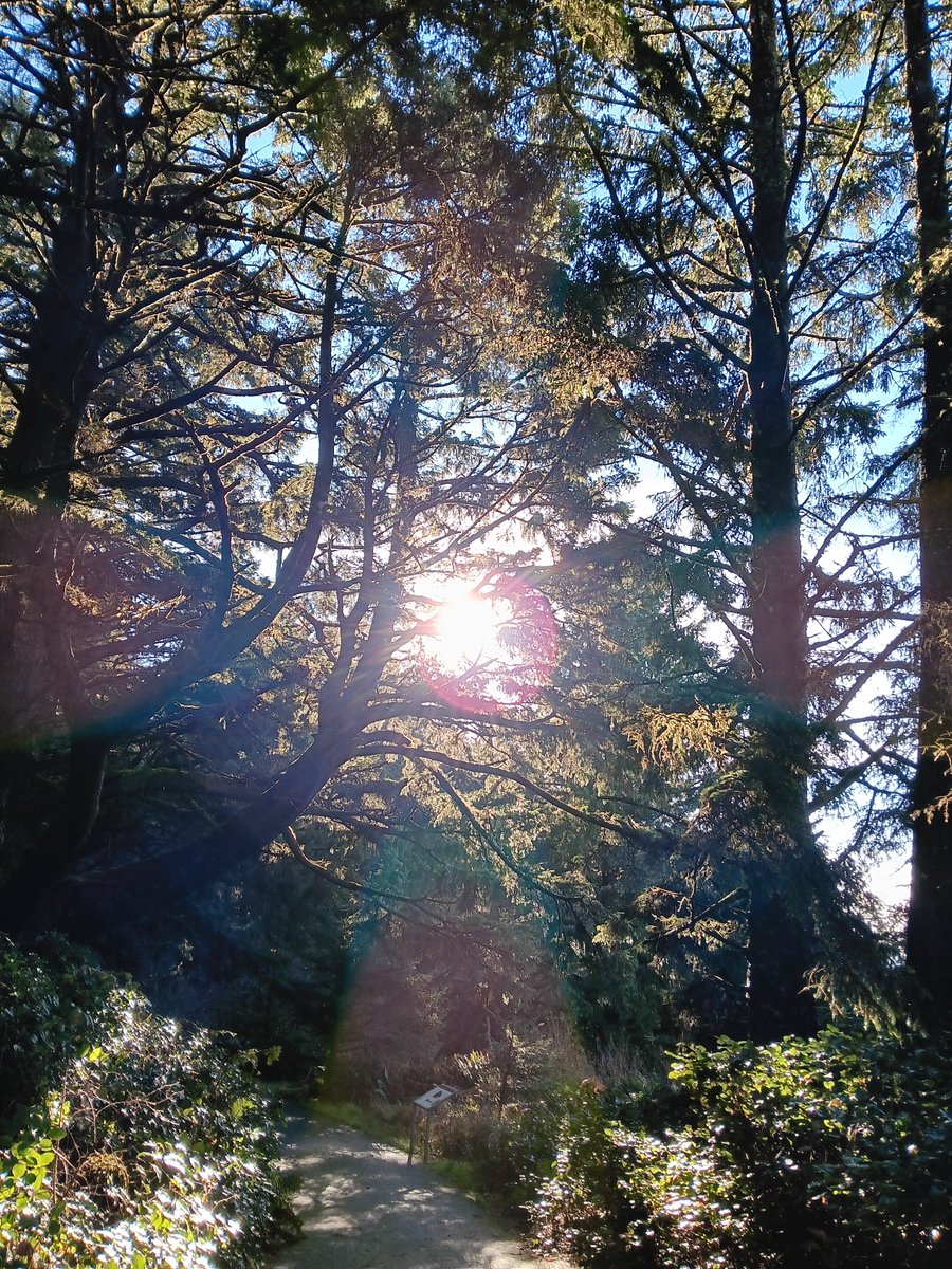 bell6049's tweet photo. Cape Disappointment State Park https://t.co/QzLFvQ9Gs1