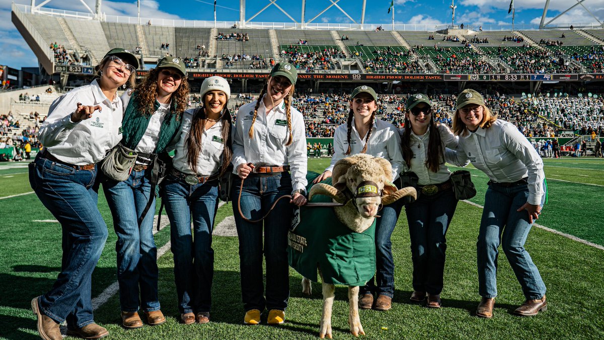 Colorado State Rams 🐏 tweet media
