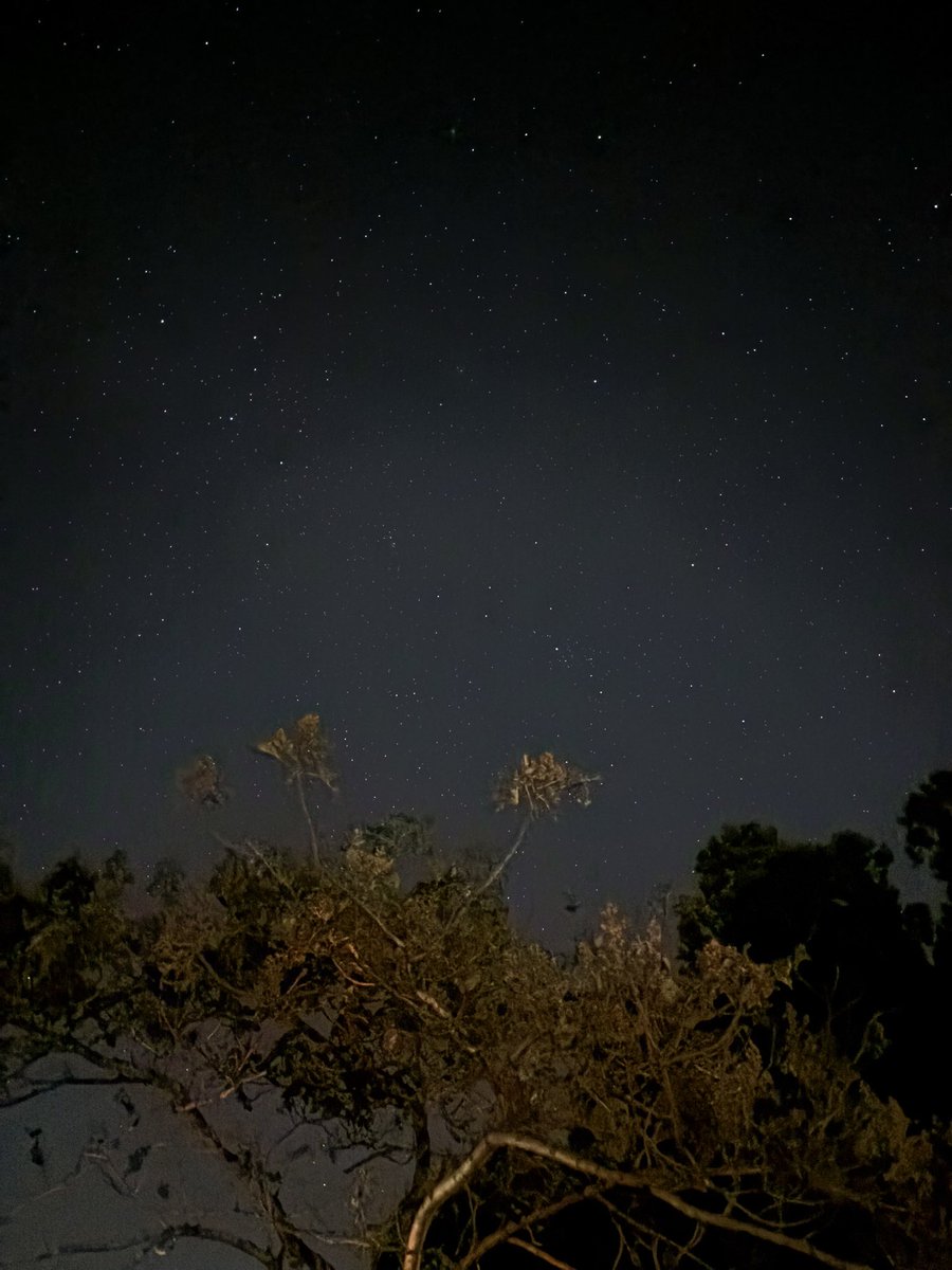 aaooaa320's tweet photo. 三重県のキャンプ場
星の説明をしてくれる方がおられ
天体観測
土星 https://t.co/ufbLY2n08v