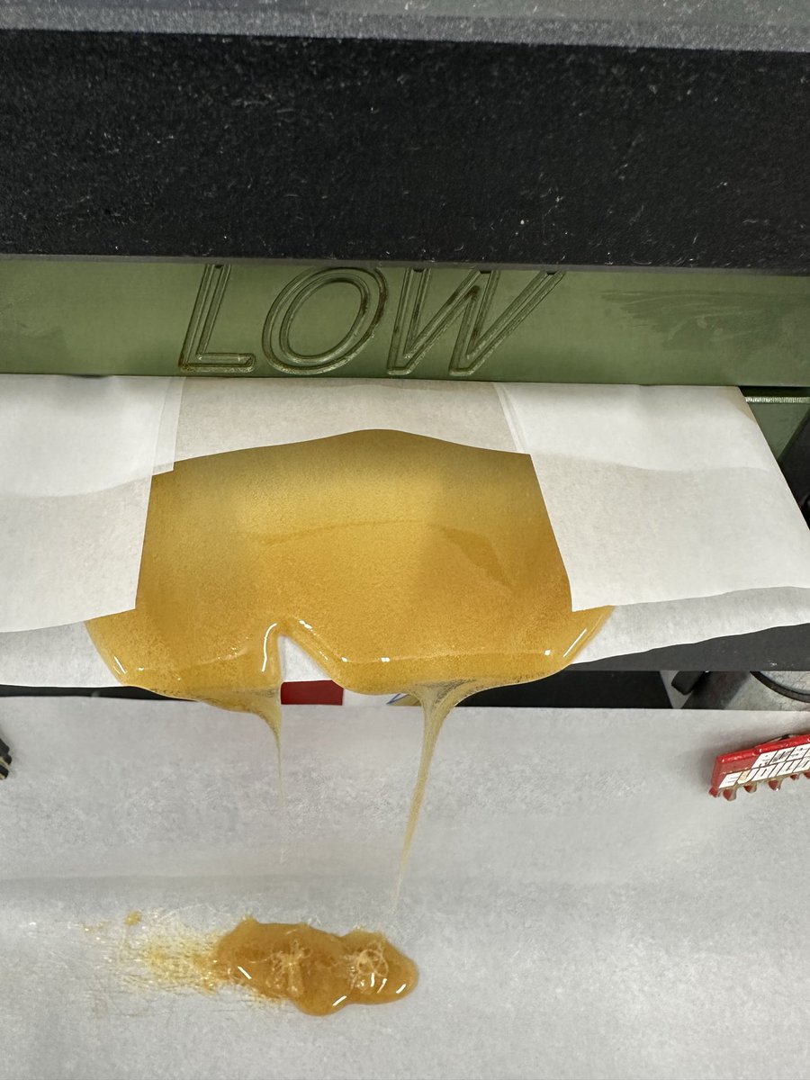 That Sour Tangie doing her thing.