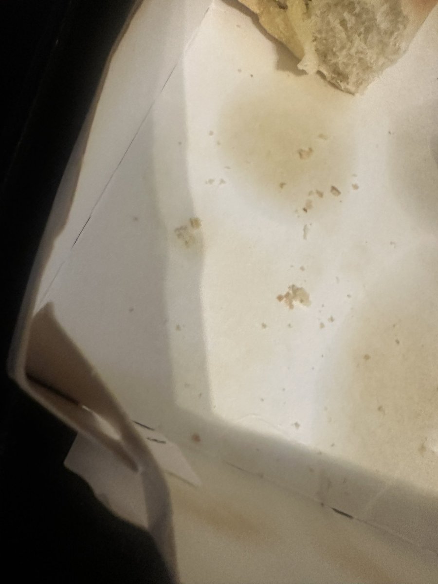 Eliza Maldonado tweet media