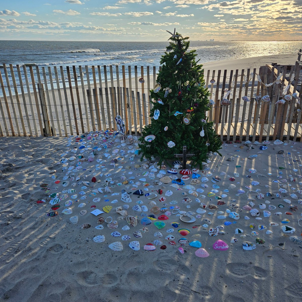 joefav's tweet image. Added a shell for mom to the Holgate Remberance tree.. #lbi