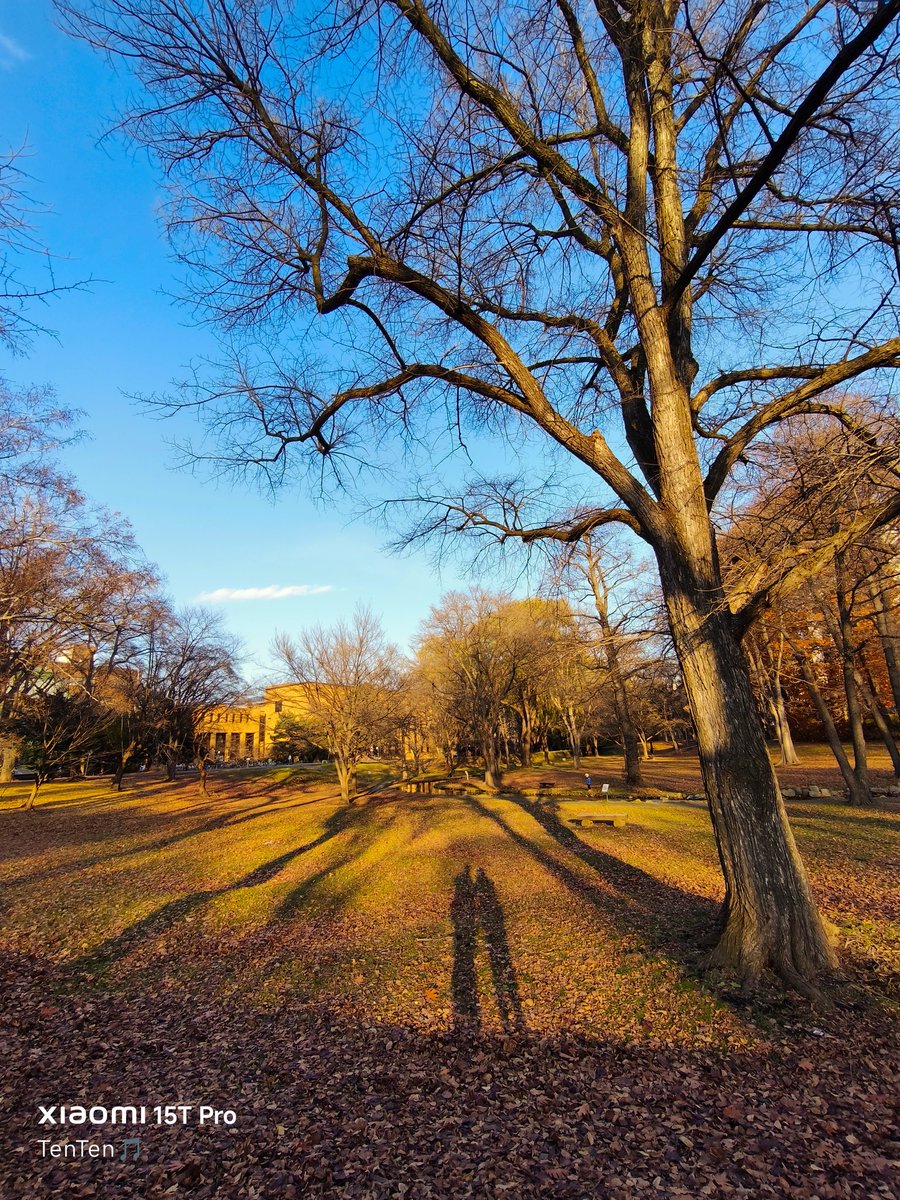 これを見た人は無言で青空の写真を貼る