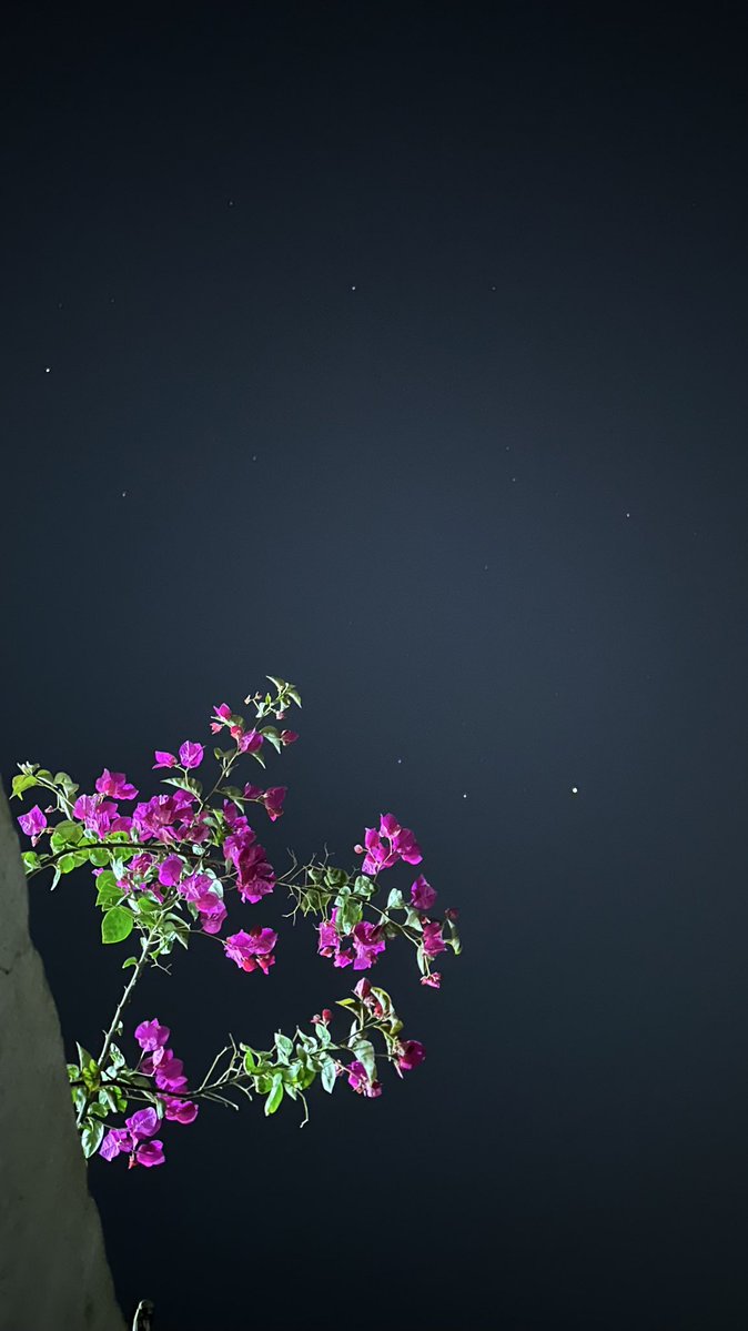 bisqv's tweet image. November stars ✨