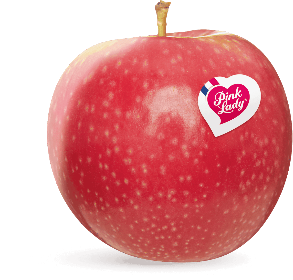 Die Hubschrauber-Pilotin. #SchleFaZ #FighterGang #Kartoffelbenzin