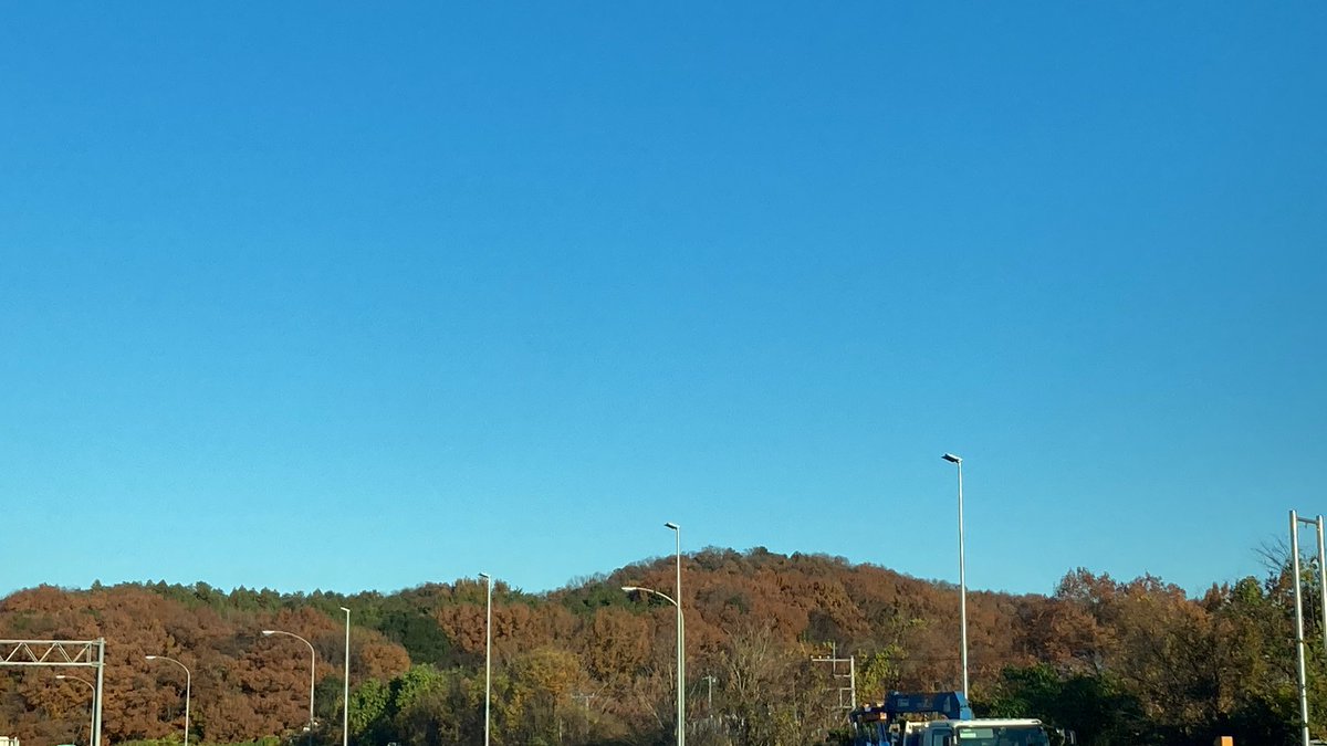 おはようございます！！！！🍁
天気いいですねーー！☀️