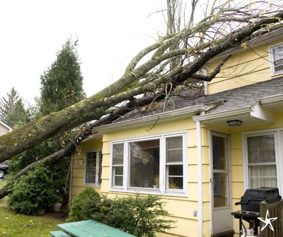 silverstartree's tweet image. 🌩️ Emergency Tree Service You Can Count On 🌳
Fast, safe response for storm damage and fallen trees, protecting your home when it matters most.

📞 silverstartree.com

#EmergencyTreeService #StormDamage #TreeCareExperts #SilverStarTreeCare
