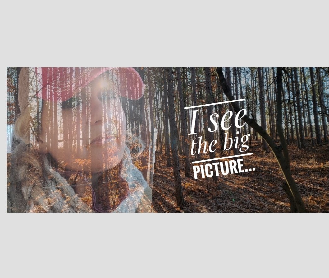 DogDays77's tweet photo. I love the forest. I love the trees. So blessed to see the forest thru the trees❤️. Take a hike, West Michigan...in the best possible way. We have so many beautiful places to explore🥰. #Hike #WestMichigan #PureMichigan #TT3 #Forest #Trees #AllSeasons #Explore #GodsCreation https://t.co/TKsXMVebO5