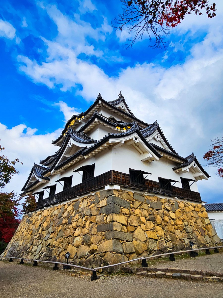 Pats Pints tweet media