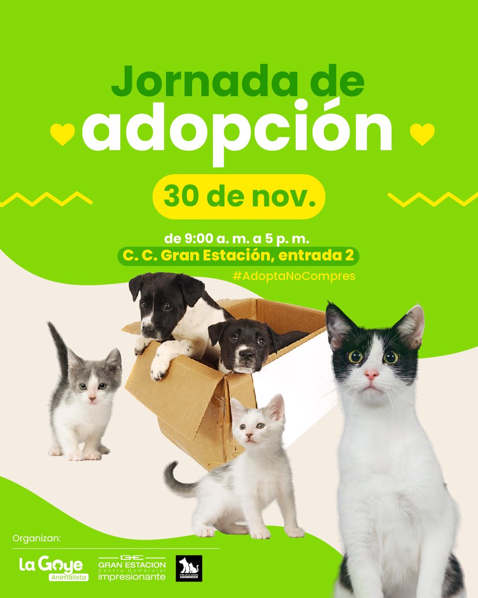 📣🐕✨ #Atención
Este domingo 30 de noviembre te esperamos en una jornada preciosa de adopción de perritos y gaticos rescatados 💚🐾

La organizamos con todo el amor, junto a rescatistas de varias localidades de Bogotá, <a href="/GranEstacionCC/">Gran Estación CC</a> y <a href="/DiaAnimales/">Al Día Con Los Animales 🐾</a> , para que —antes de Navidad—