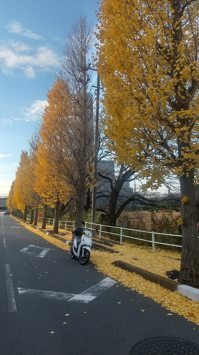 Project52419094's tweet photo. https://t.co/x3wIwTEa9j