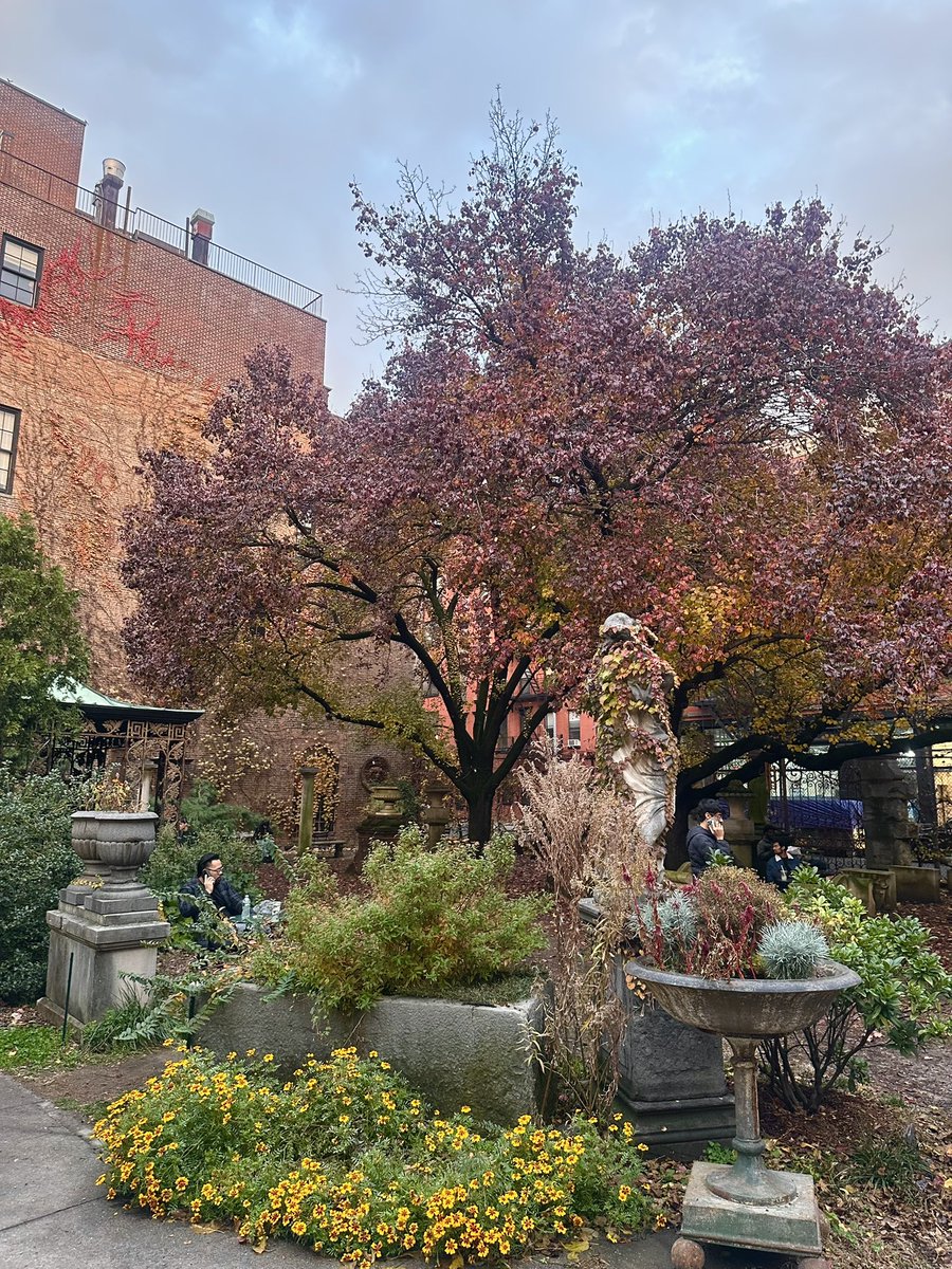 Elizabeth Street Garden tweet media