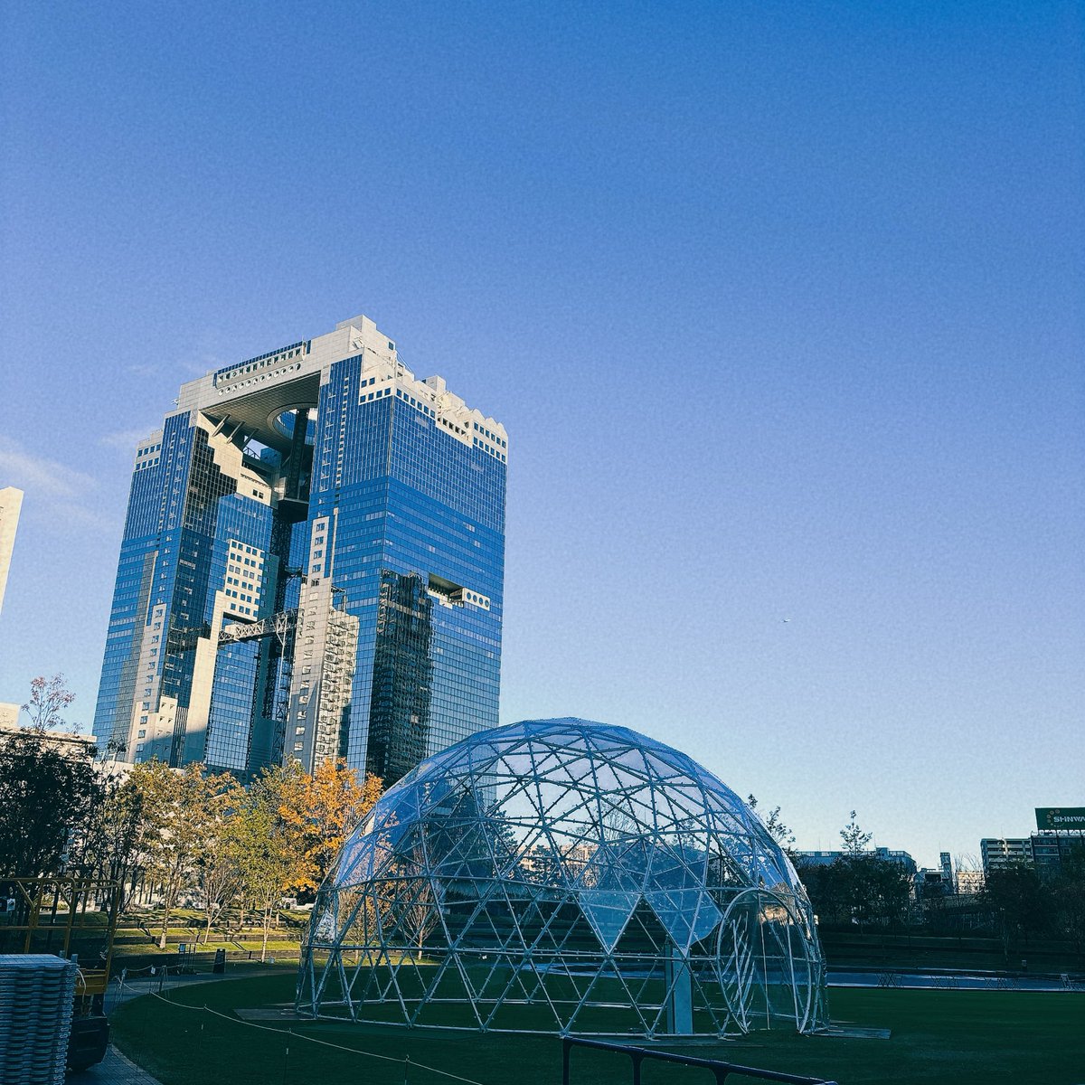 Rie (@Rie42194913) / Posts / X