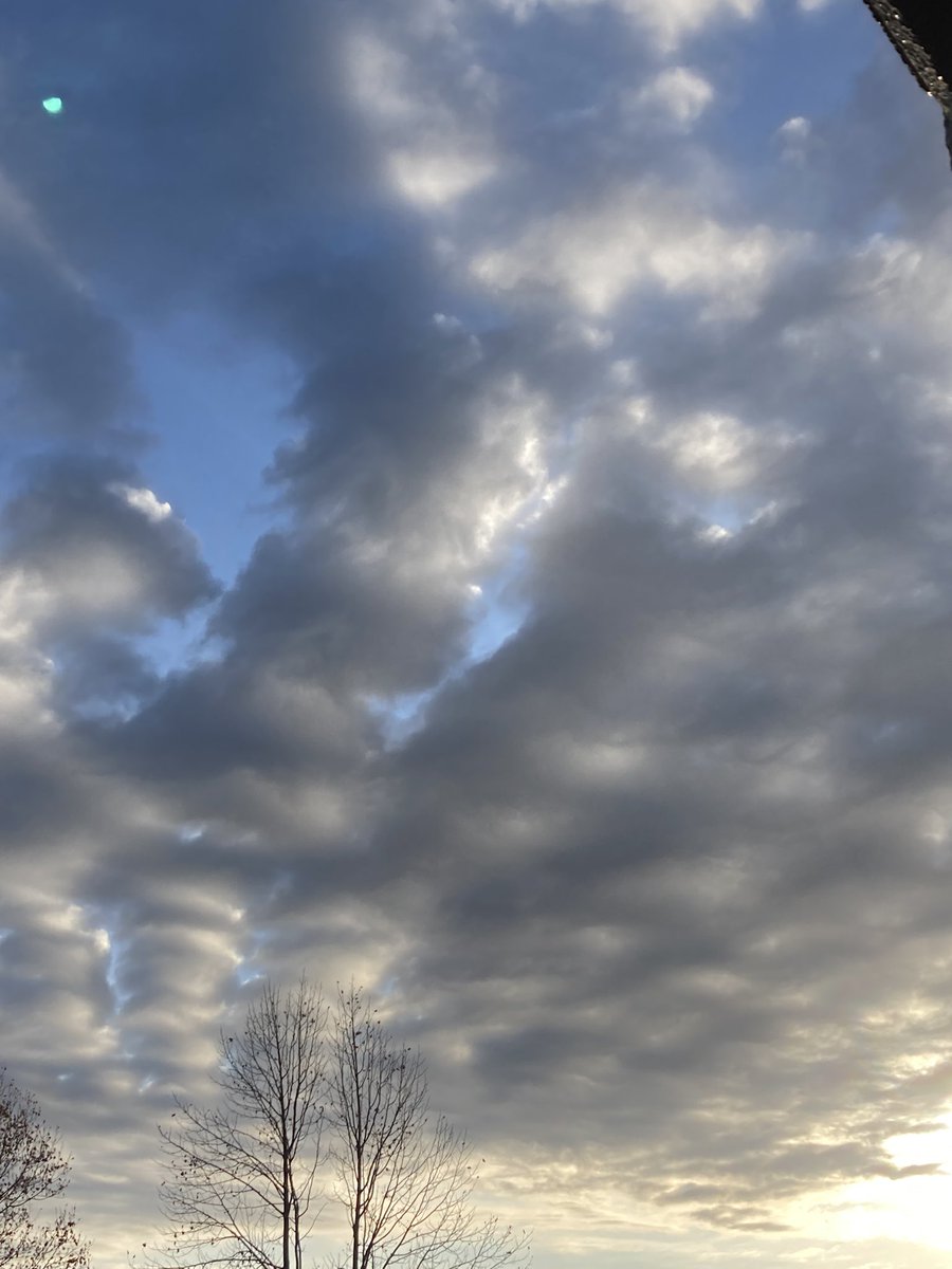 soap_dreamer's tweet image. おはようございます。
11/29(土)もよろしくお願いします。
冷んやりと澄んだ空気が心地いい朝を迎えました。
穏やかで、充実した一日になりますように……

#空を見上げて