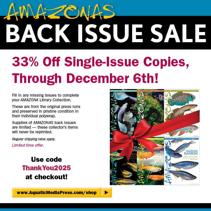 AmazonasMag's tweet image. The #AMAZONASmagazine #backissue sale is here! Shop at aquaticmediapress.com/shop and get 33% off single-copy back issues with code ThankYou2025 at checkout! Through December 6th!
 
#aquariumgift #aquariumgifts #aquarium #aquariums #aquariumhobby #tropicalfish #freshwaterfish #fish