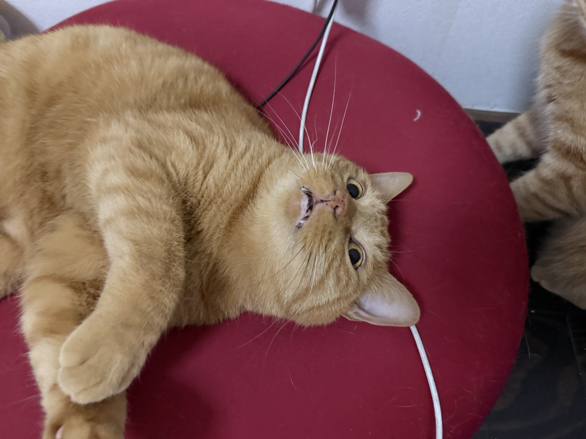 わしらの朝飯は？