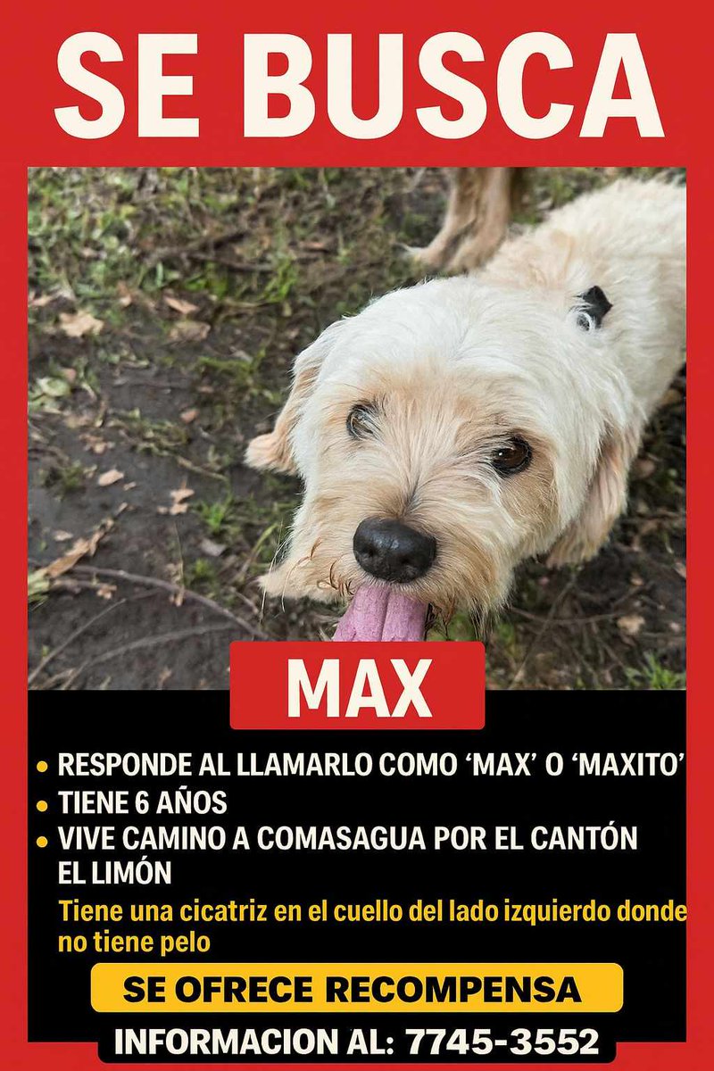 lyssitta's tweet image. SERVICIO SOCIAL✅️
#SEBUSCA 📣
#EXTRAVIADO ‼️