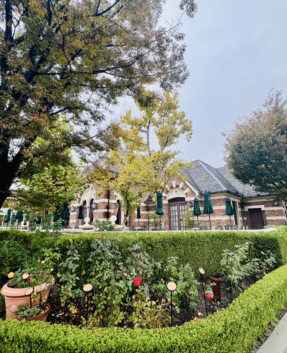 kohimangetsupon's tweet image. おはようございます
素敵な一日を✨
#USJ #USJファン