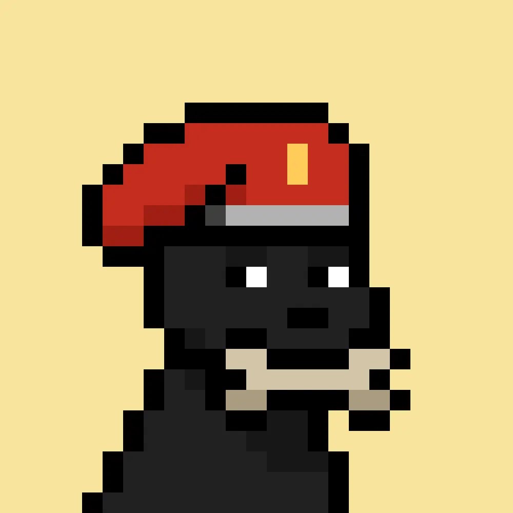 Boxmeta's tweet image. My first Doginal Dog I ever bought had a bone 🦴 

Traded him up to a Wizard 🧙‍♂️ 

Now things come full circle with a beautiful black bone dog with a beret 🔥

Thank you @Shieldmetax for the incredible deal 🤝

Thank you @lil_defi for the support 🤝

WOOF WOOF 🐶

#NewProfilePic