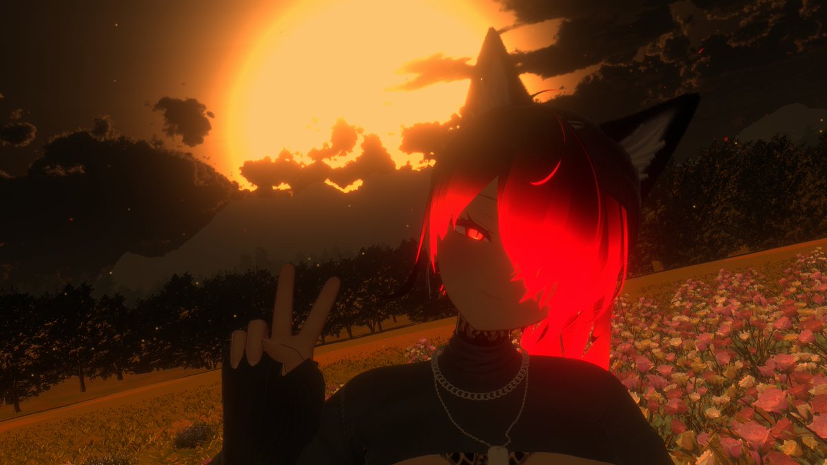 Arthur Streck (@arthurstreck4) on Twitter photo 