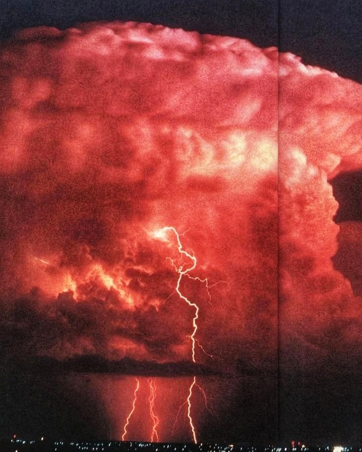 yumcarton's tweet image. 