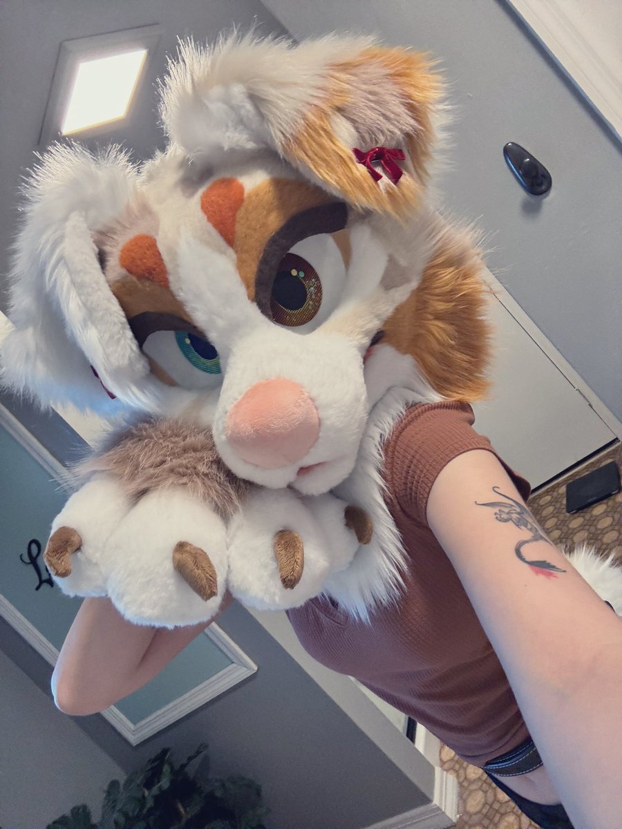 new pup who this 🤭
———————🤍————————
🪡: <a href="/oops_cry/">¡shiba!</a>