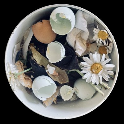 Rodney Owl - Music mostly tweet media