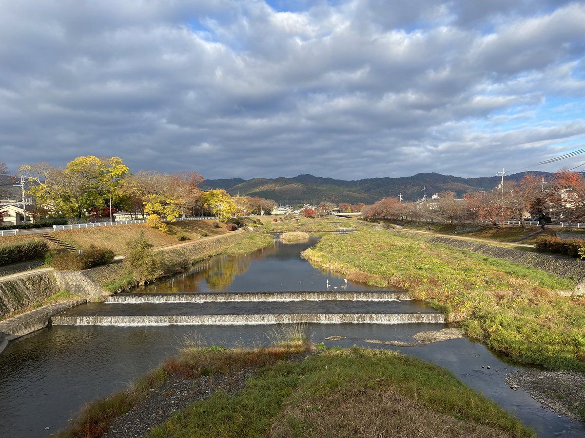 kamokamokai's tweet image. 今日の賀茂川。
2025年11月29日
#Kyoto #kyokamo #鴨川 #京都