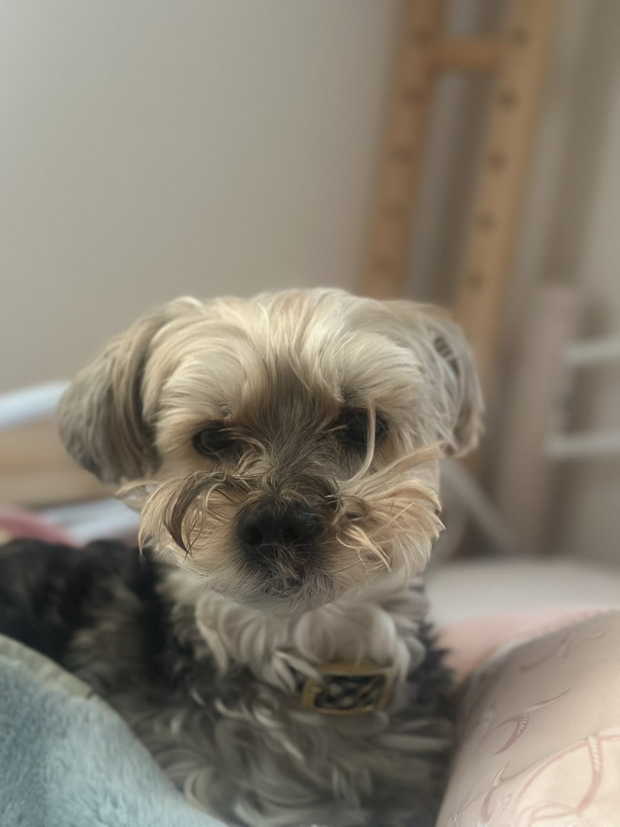 らっちゃんズ (@RawMeat_Lover) / Posts / X