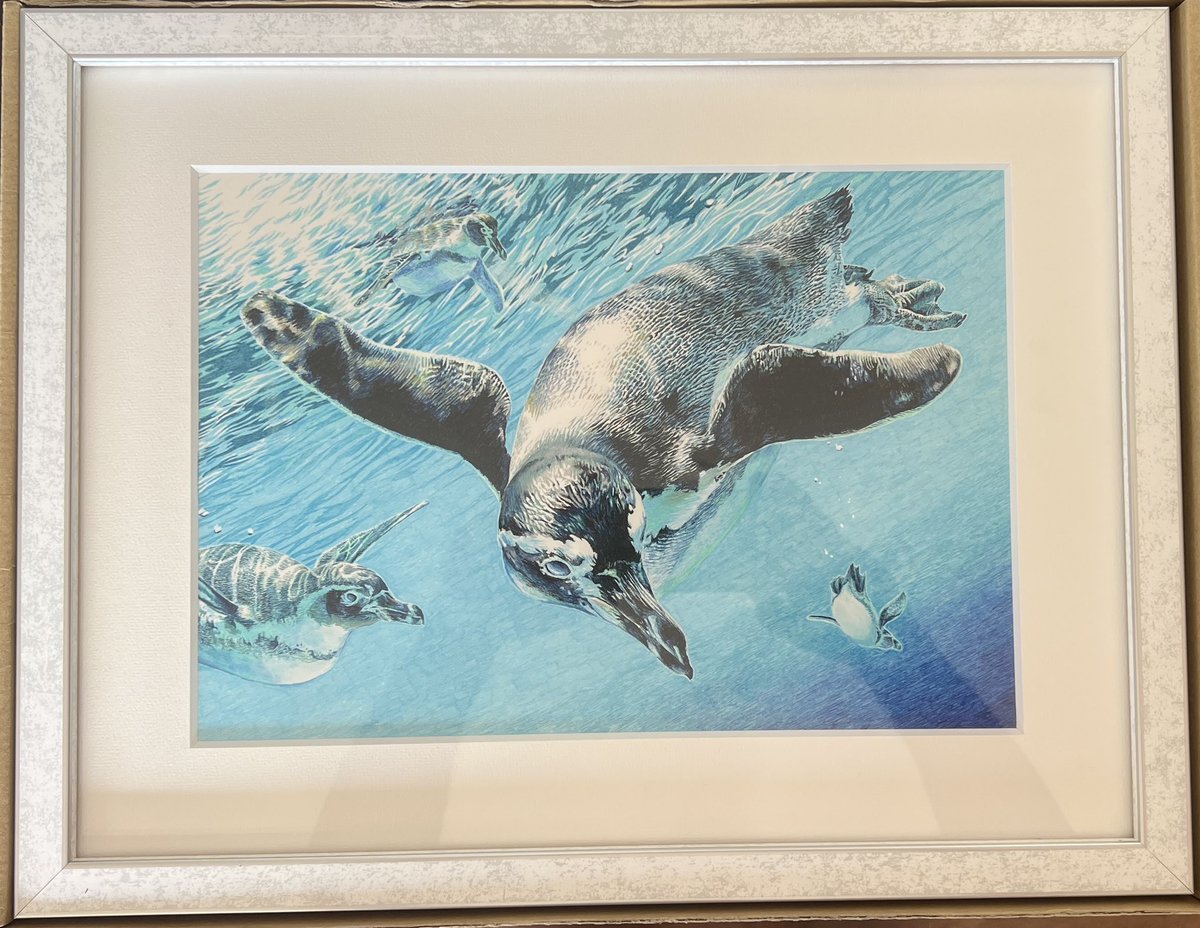 結城アニマルアート展、本展示が今日から開示致しますー！ わたしから