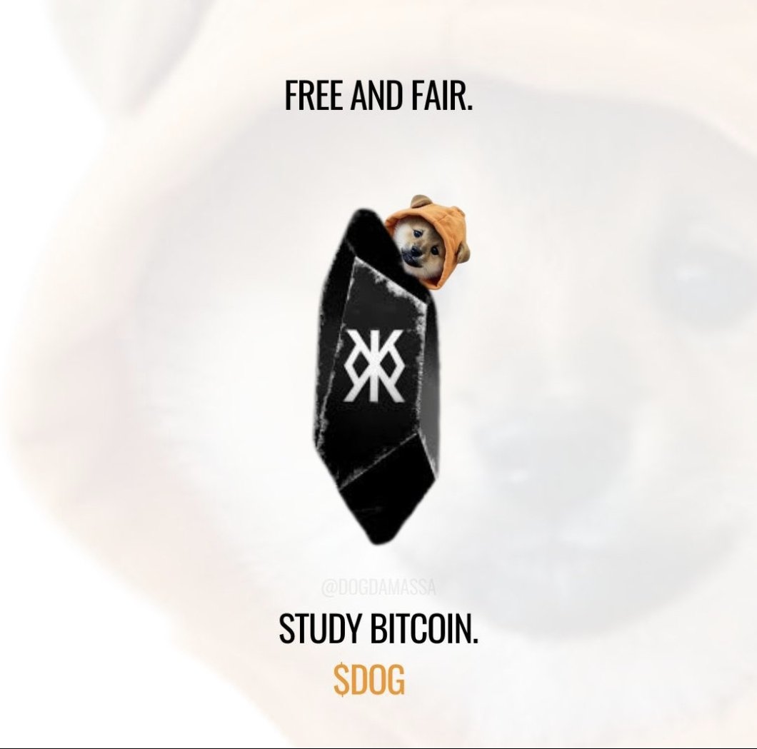 Study $DOG 🐕 🧡 
Study Runestone 🖤 
Study Bitcoin 🟧