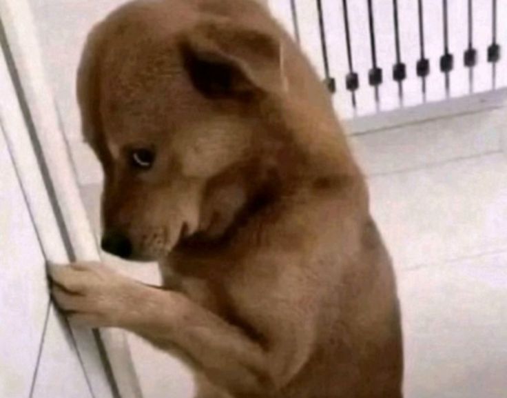 3setproblem's tweet image. How do you pretend you didn’t see someone you know in public?