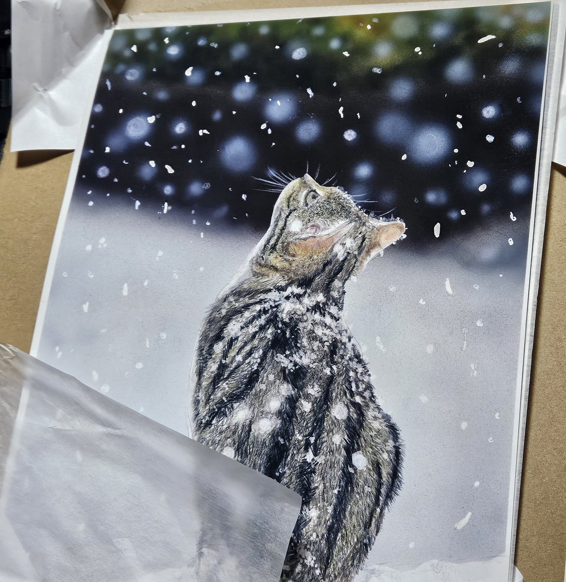 そんな感じの色鉛筆画 (@sonnakanjidesu) / Posts / X