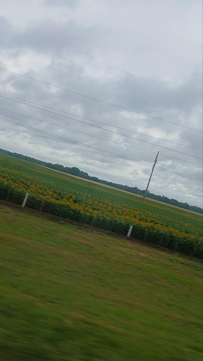 marussick's tweet image. este ser ya está yendo para tierras cordobesas💋