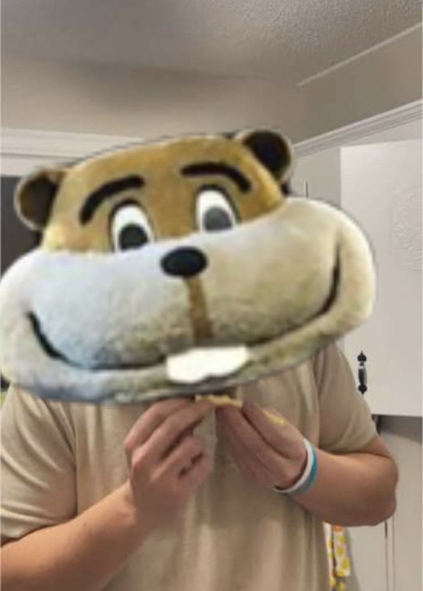 Bucky Badger tweet media