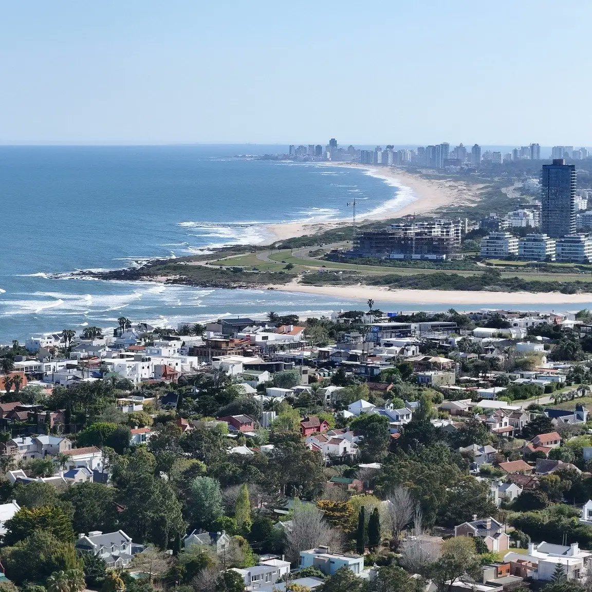 Gerardo Tapie tweet media