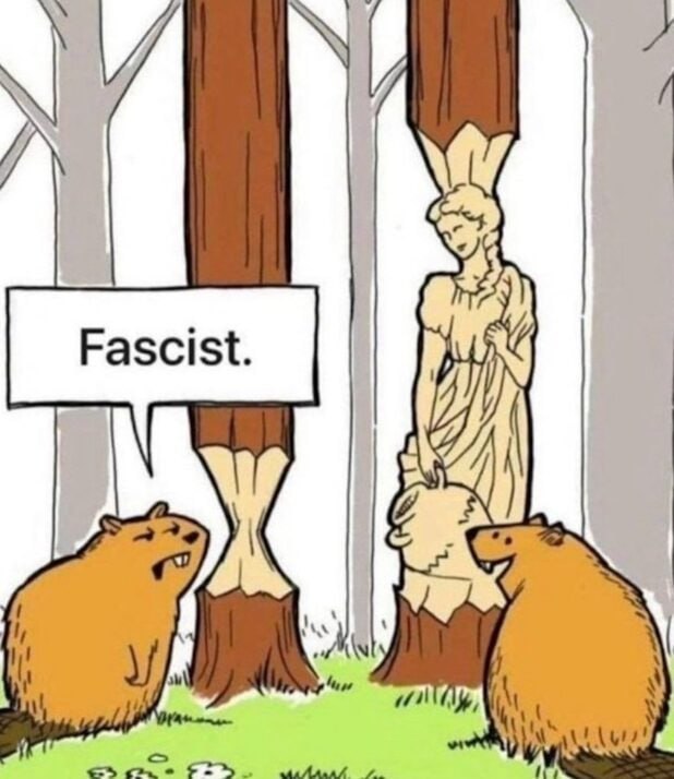 LibertyCappy's tweet image. Bruh