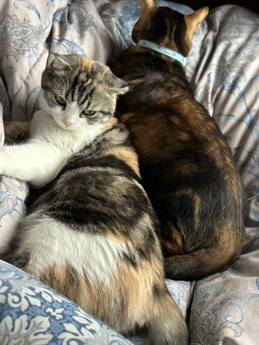 🍓あっこちゃんねる🍓 (@akkochan0615) / Posts / X