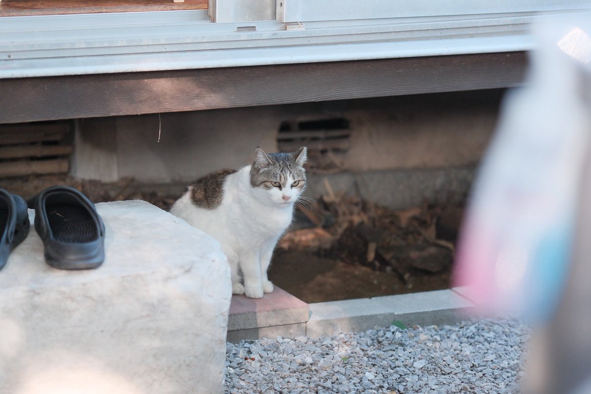 Pop_SP401's tweet image. 尾道は何度行っても良い