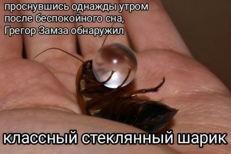 ioannadenisova4's tweet image. 