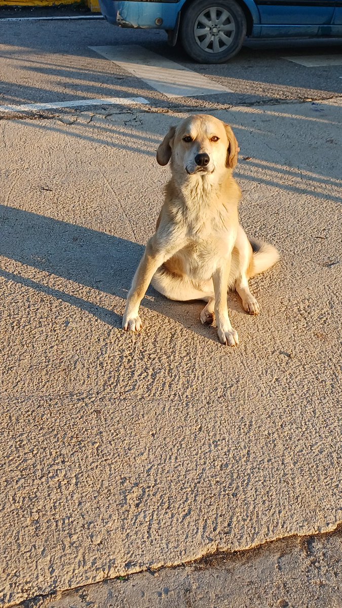 Ceyda25253229's tweet photo. @olurunbu https://t.co/Xa25j1tzVj
