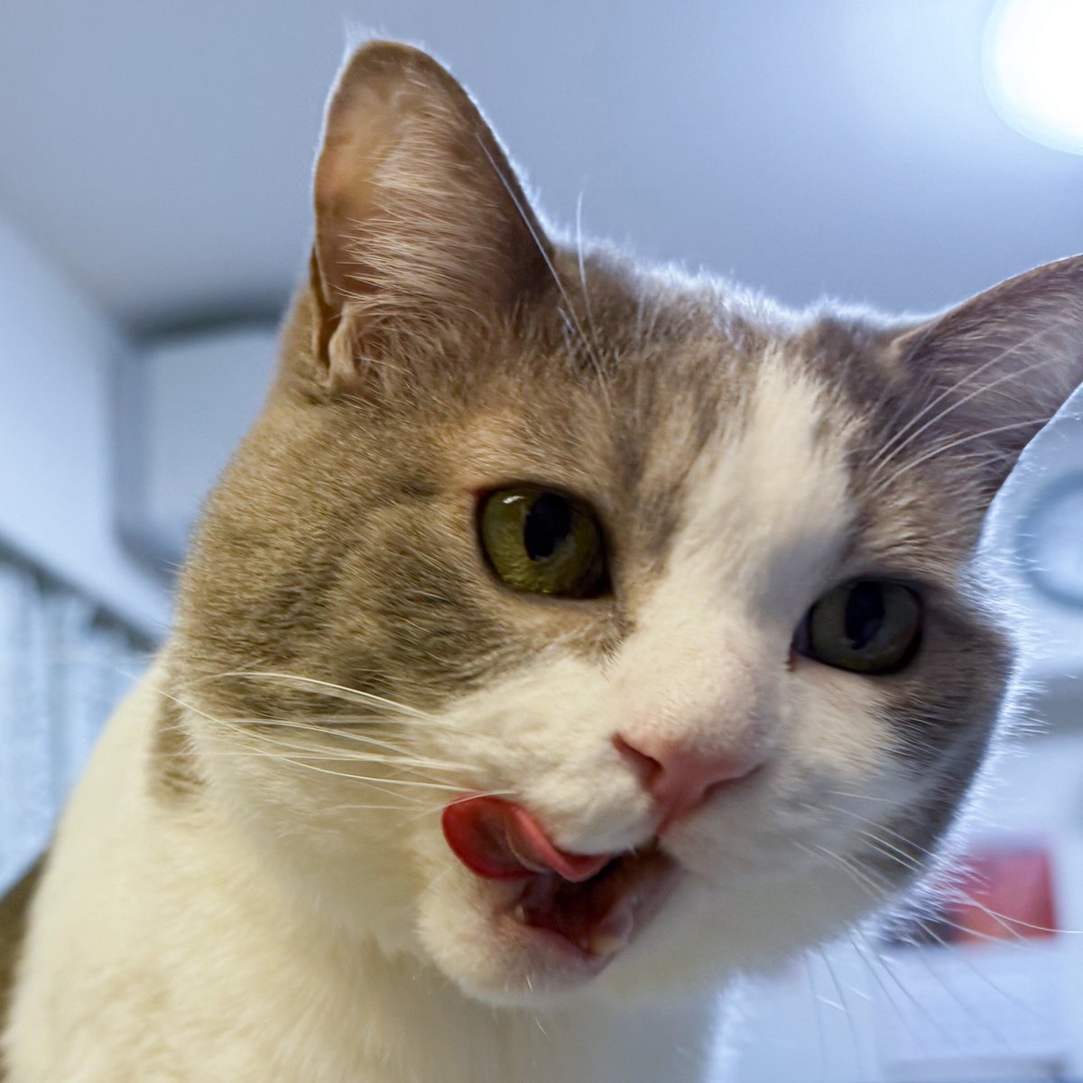 いずもん/まろ様＊mfmf (@7nfxwoi3F8lSqHU) / Posts / X