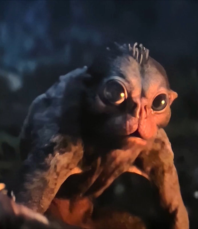 s77tux's tweet image. Took my 9-year old son to see #PredatorBadlands this evening at @vuecinemas and it didn’t disappoint… We both thoroughly enjoyed it! Great action, some good moments of humour and Bud was brilliant too!