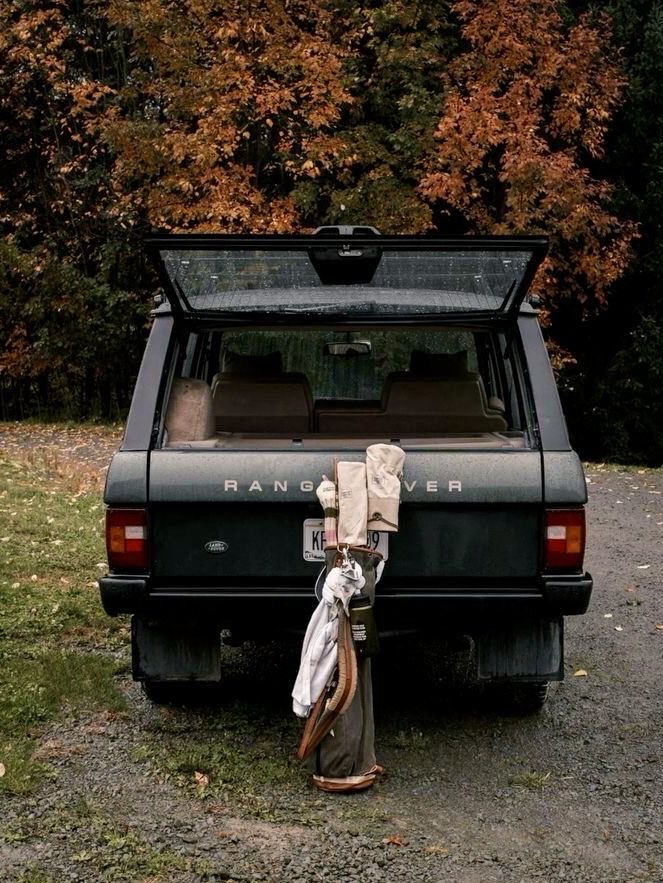 Refined Socialite tweet media