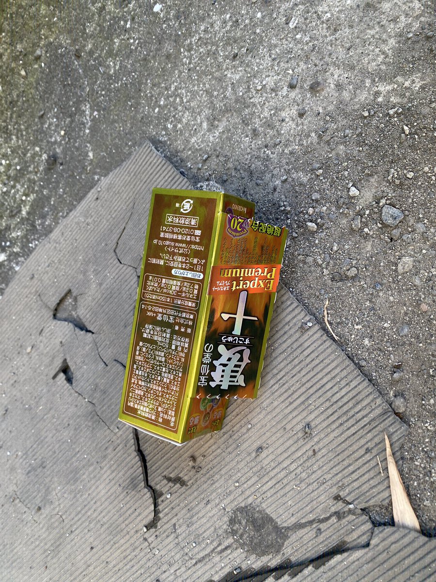 これはさっき遭遇した細路地で力尽きていた野生の凄十五兄弟の四男坊（？）の亡骸二つ…妙だな…