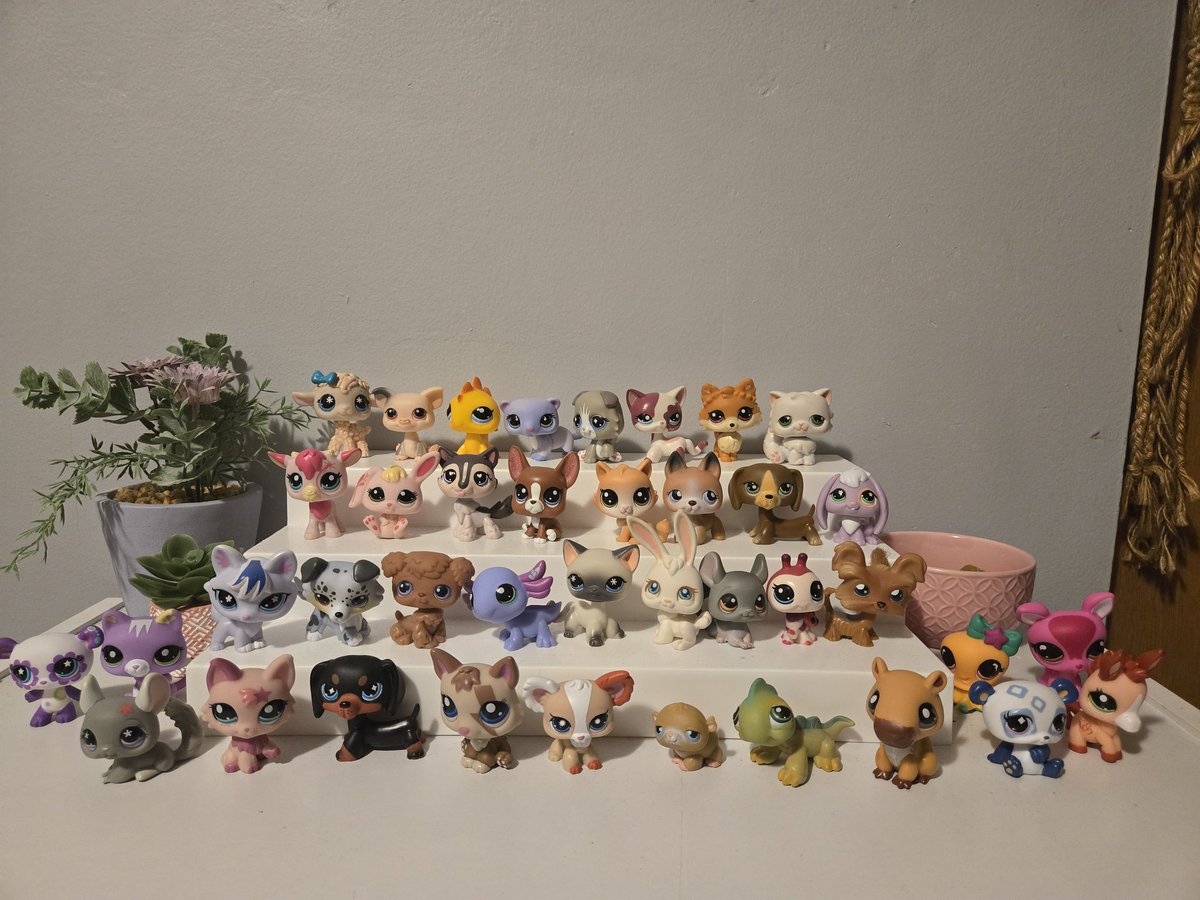 I ended up with a bigger collection than I anticipated