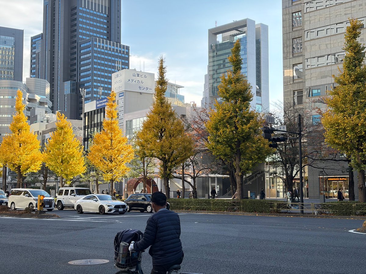 _smbrian's tweet image. Autumn in Tokyo.